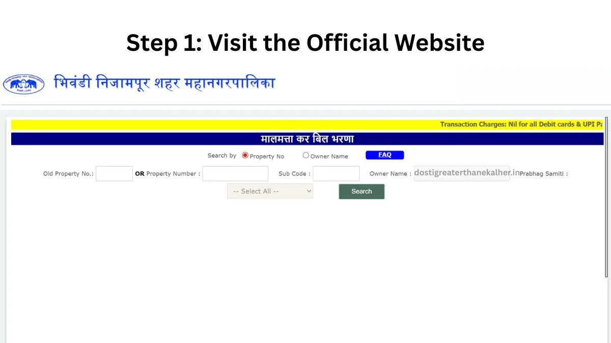 Step 1: Visit the Official Website